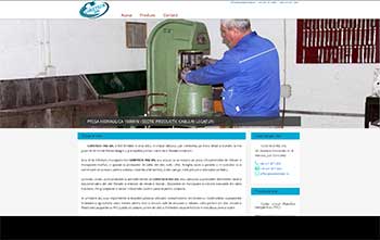 Web design, site prezentare, magazin online, aplicatii